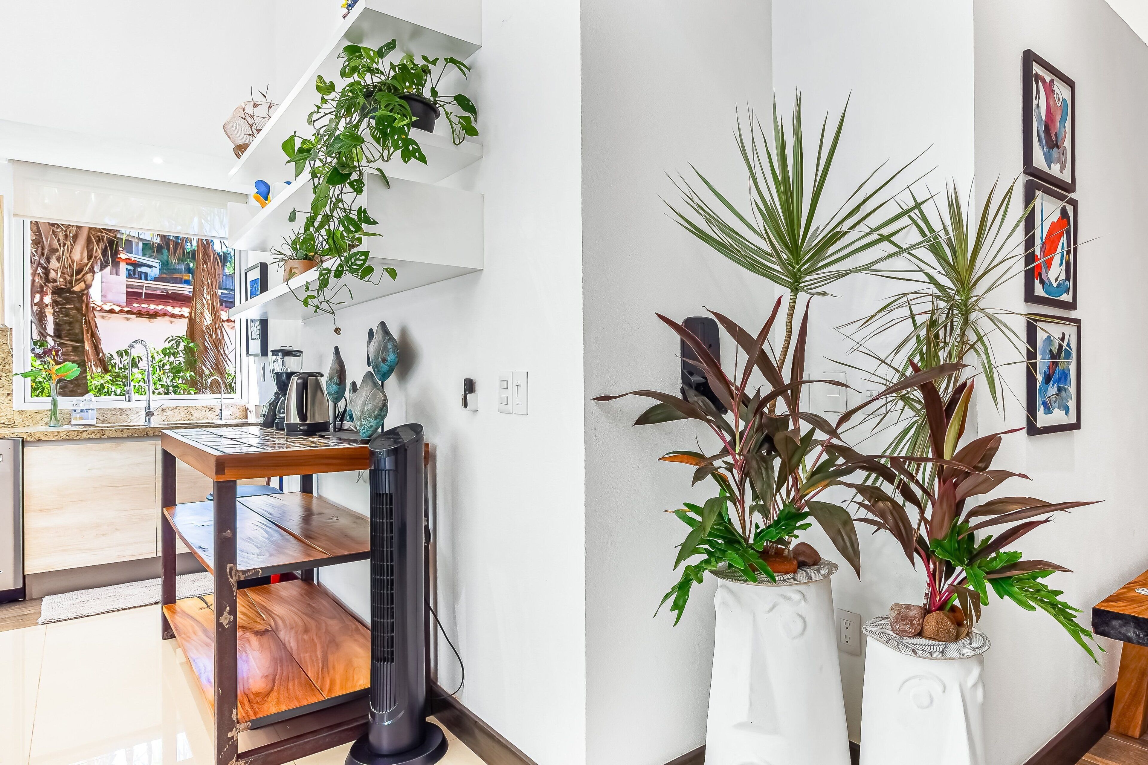 Una cuina moderna amb una taula de fusta, un aparell negre i prestatges blancs amb plantes.