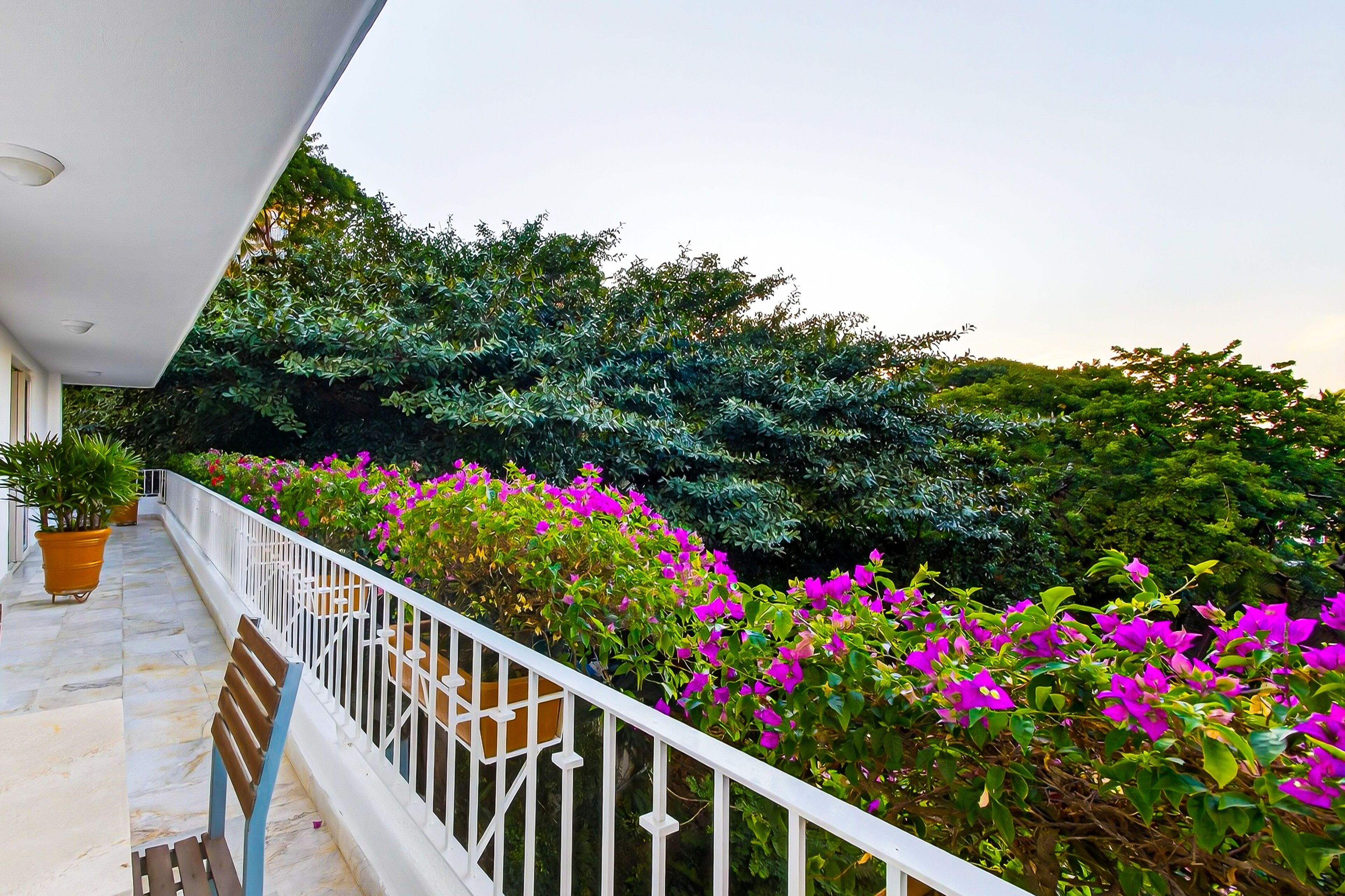 Un balcone con ringhiera bianca, piante in vaso e fiori viola intensi.