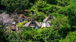 Ảnh chưa phân loại, 3 trong số 69 ảnh, nút