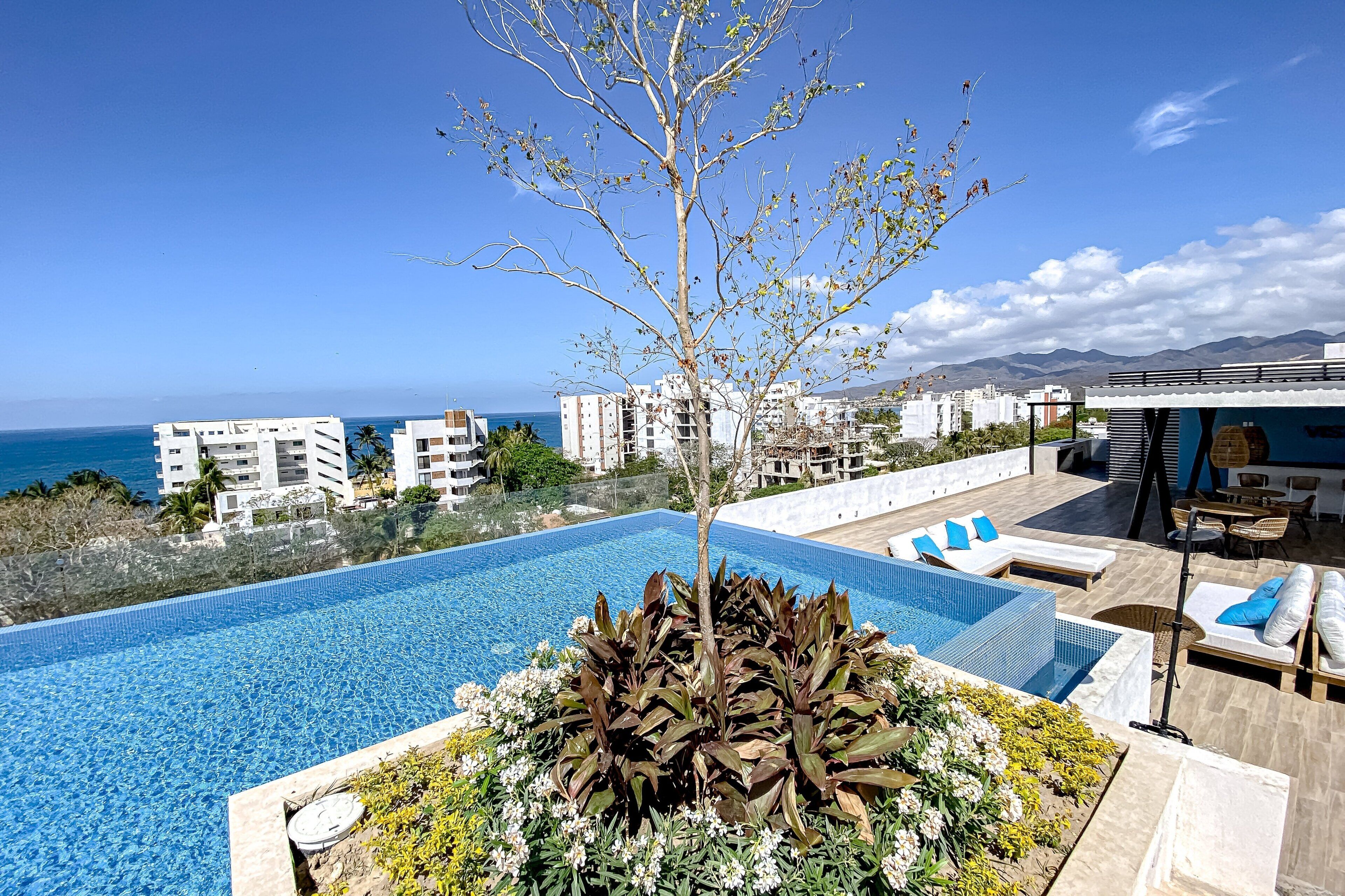 An infinity pool with a clear view of the sea, surrounded by lounge chairs and a small tree.
