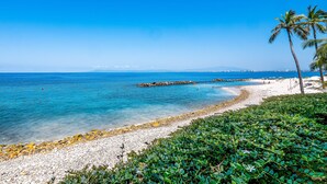 A beach with clear water, white sand, and palm trees. - Cozy Beachfront Apartment With Stunning Ocean Views and Resort Amenities (Puerto Vallarta)