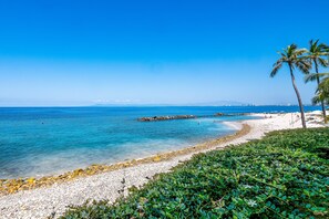 Ein Strand mit klarem Wasser, weißem Sand und Palmen.