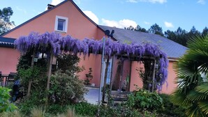 Een roze gebouw met een overdekte veranda, omringd door groen en paarse bloemen.