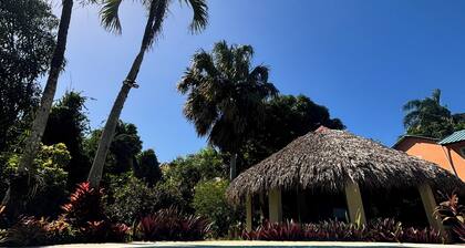Tropical paradise