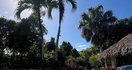 Tropical paradise