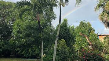 Ein Schwimmbecken, umgeben von üppiger Vegetation und einem Regenbogen.