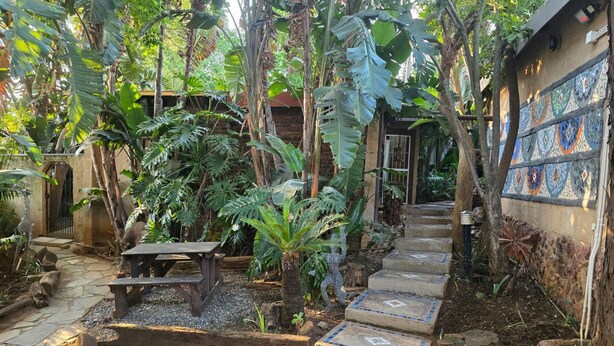 A stone pathway leading to a wooden bench, surrounded by lush tropical plants and a tiled wall with a geometric pattern. - The Pot Faerie Glen in Pretoria (Pretoria)
