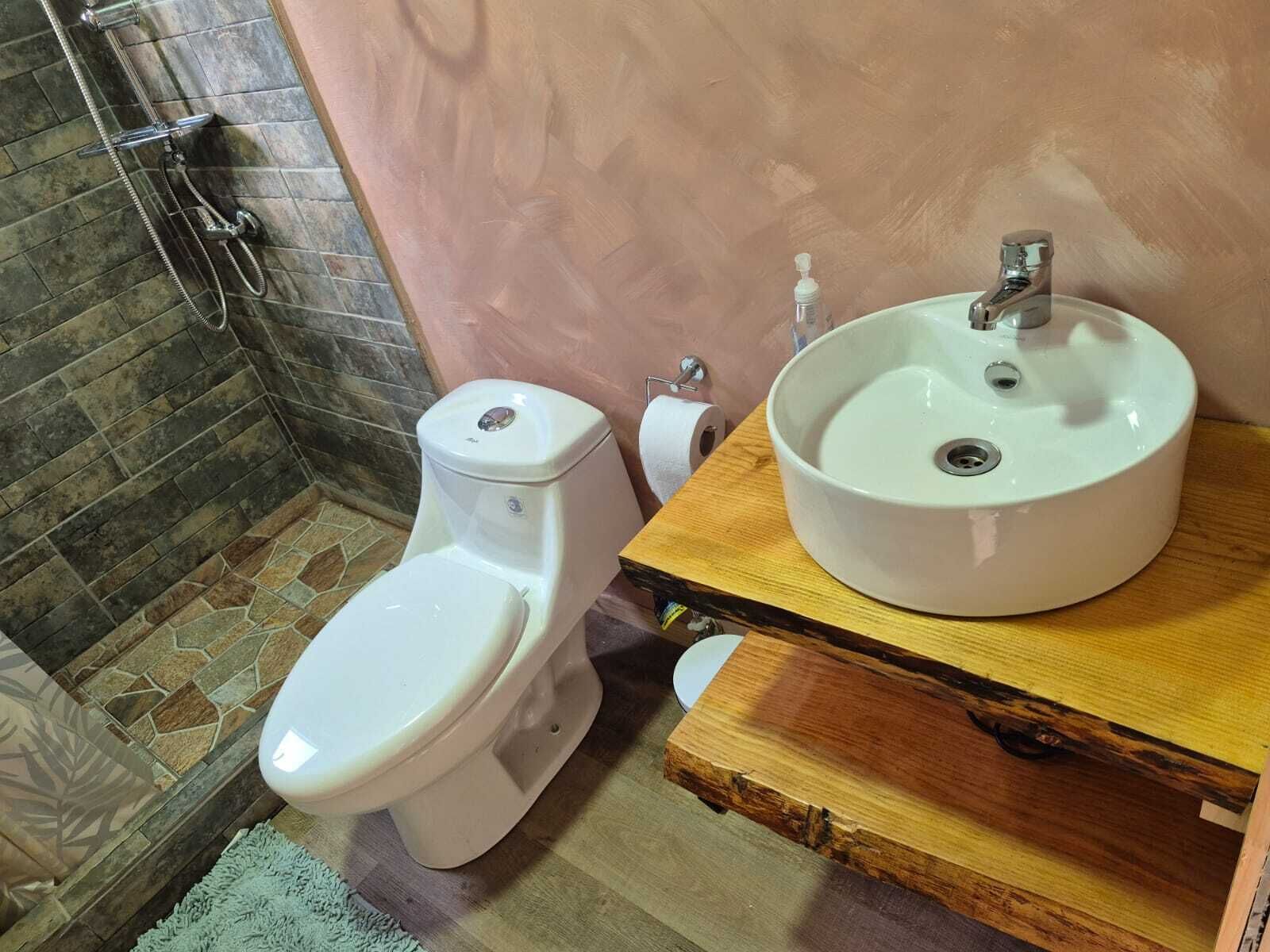 A bathroom with a toilet, a sink, and a shower.