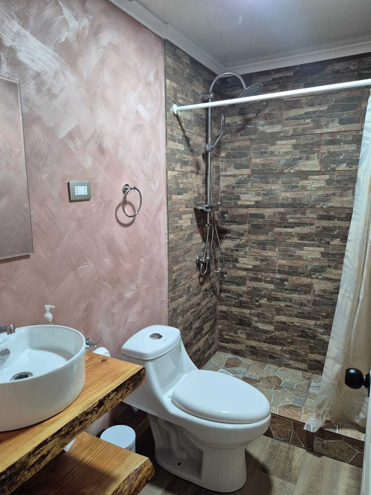 A bathroom with a stone shower wall, a wooden vanity, a white toilet, and a large sink.