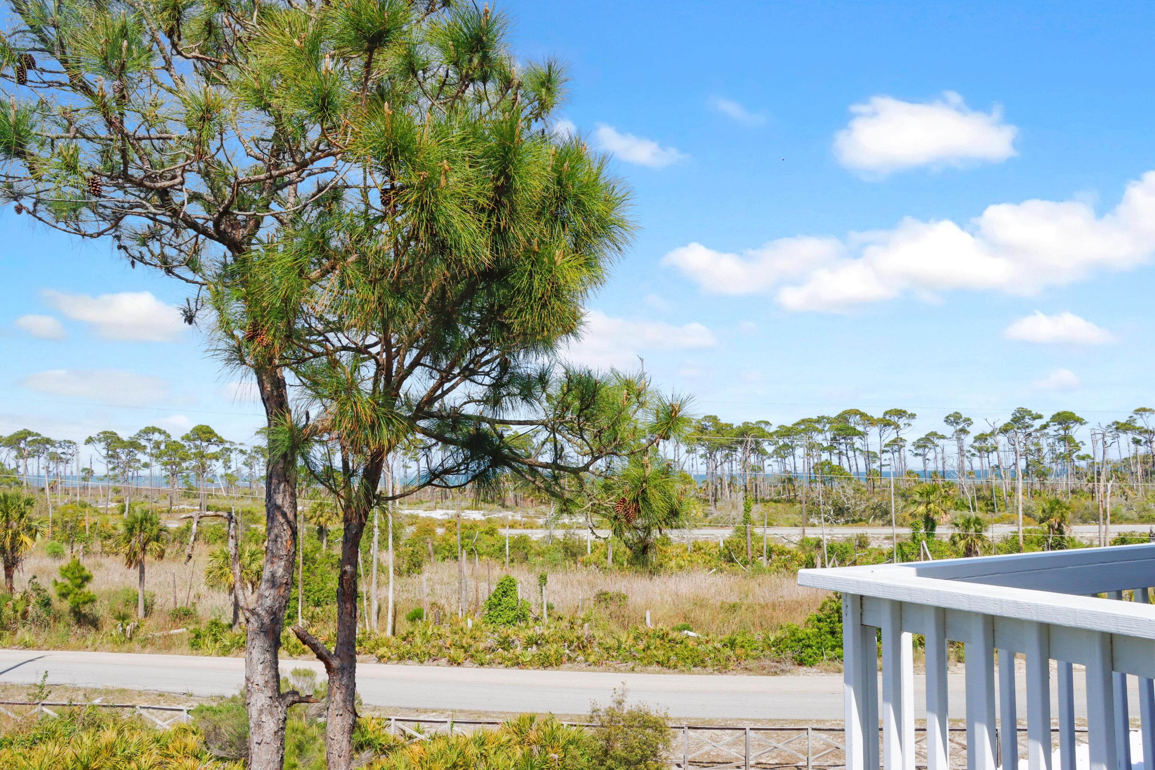 A coastal view with a white railing, a pine tree, and a road in the background.