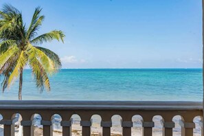 Blick auf einen Strand mit einer Palme und dem Meer.