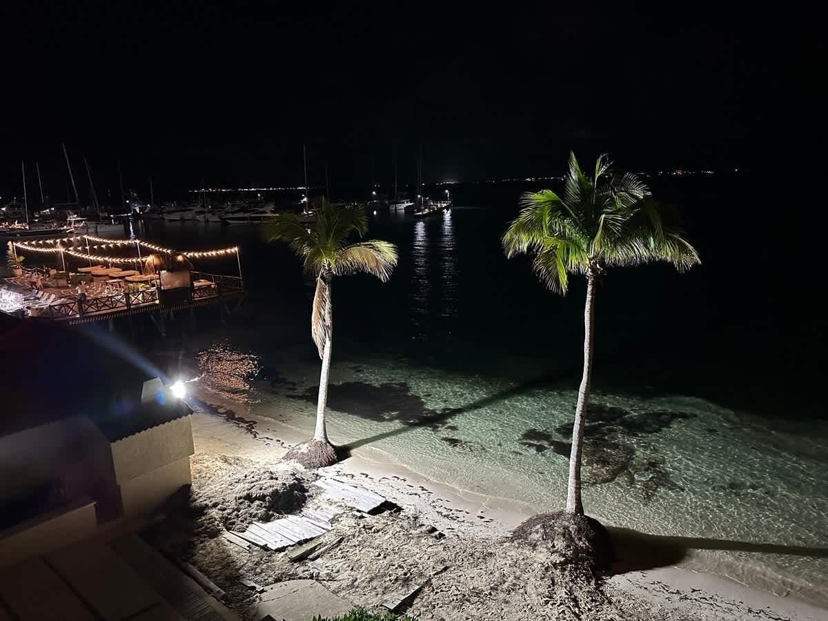 A beach with palm trees and a dock with boats.