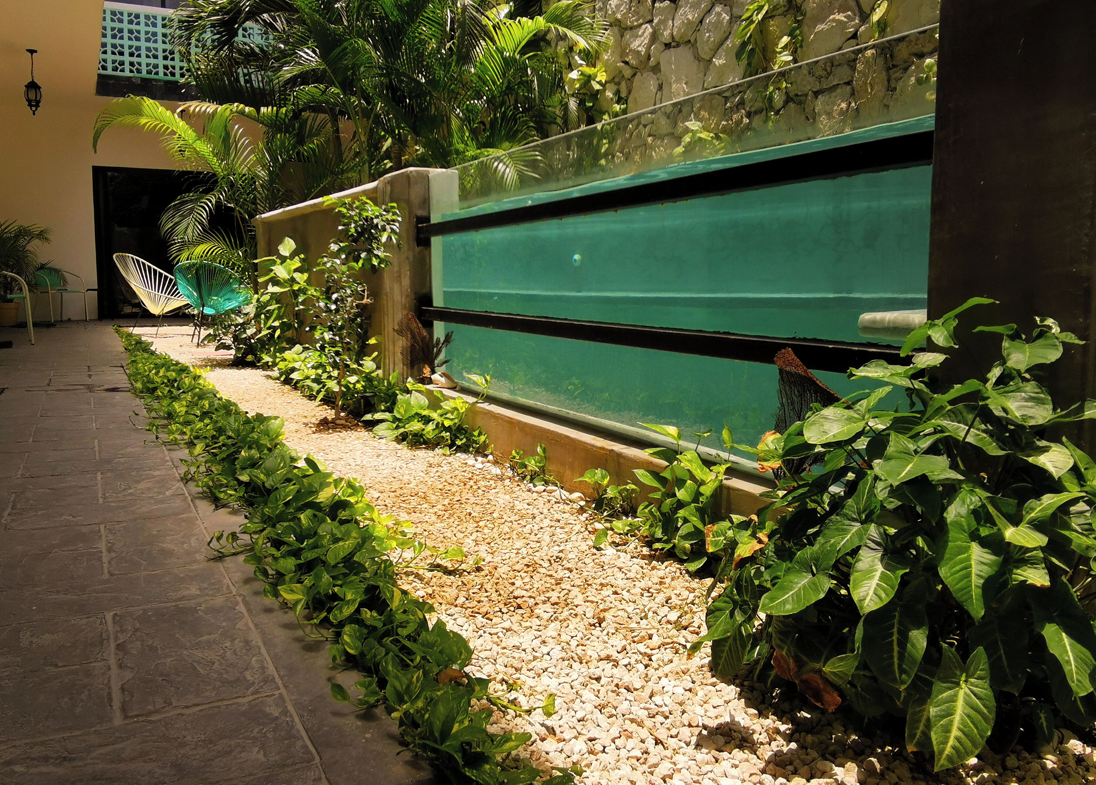 Khuôn viên nơi lưu trú