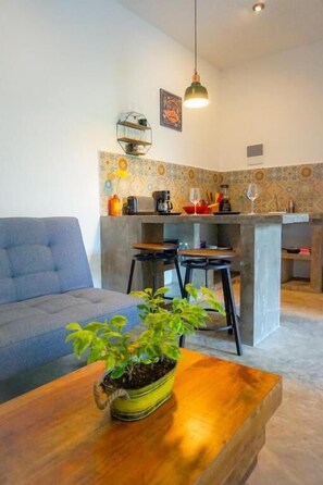 Un salon avec un canapé, une table basse agrémentée d’une plante, un coin cuisine avec un tabouret de bar et un luminaire suspendu.
