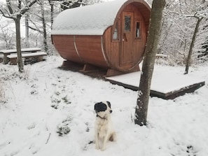 A wooden cabin with a snow-covered roof, a wooden door, and a bench nearby.