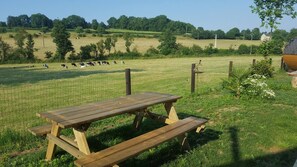 Restauration en plein air