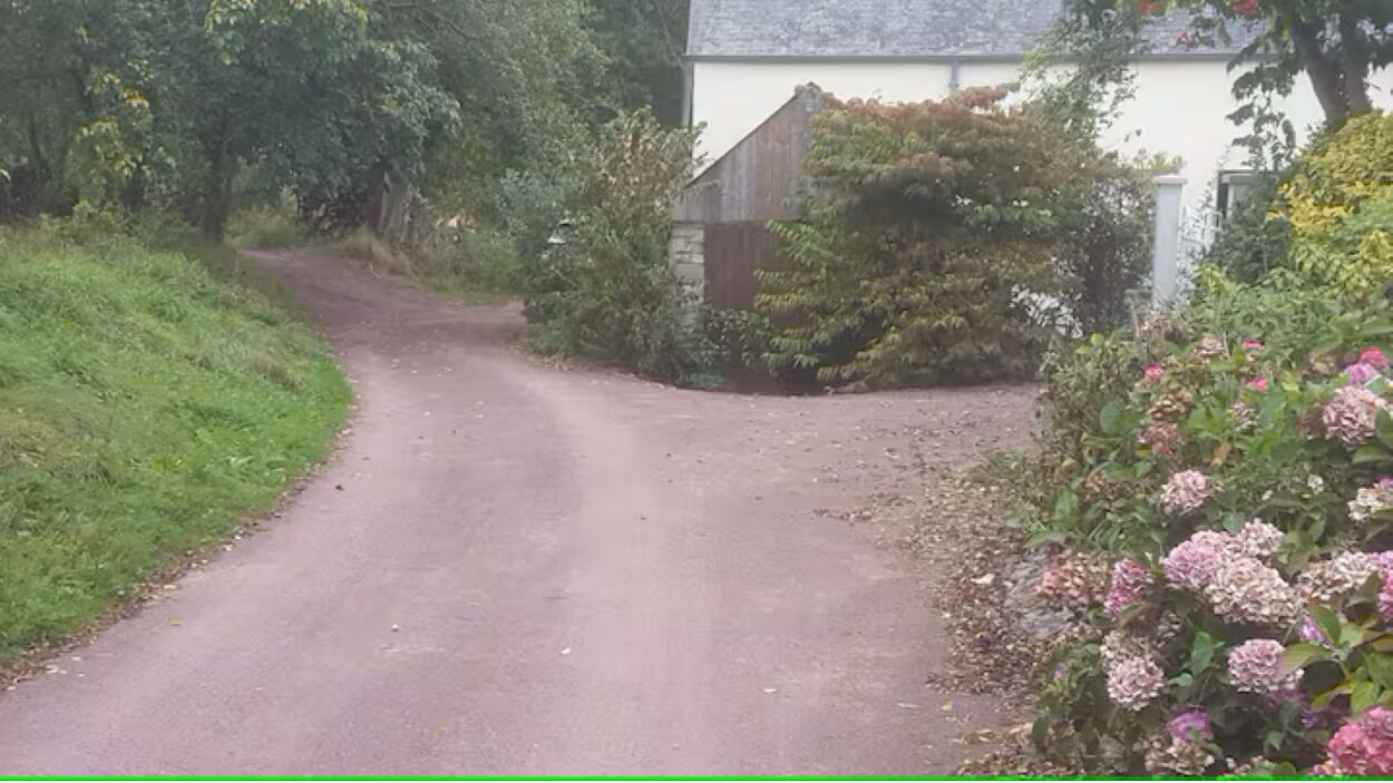 Eine ländliche Straße mit einem Haus am rechten Rand, umgeben von Grün und Blumen.