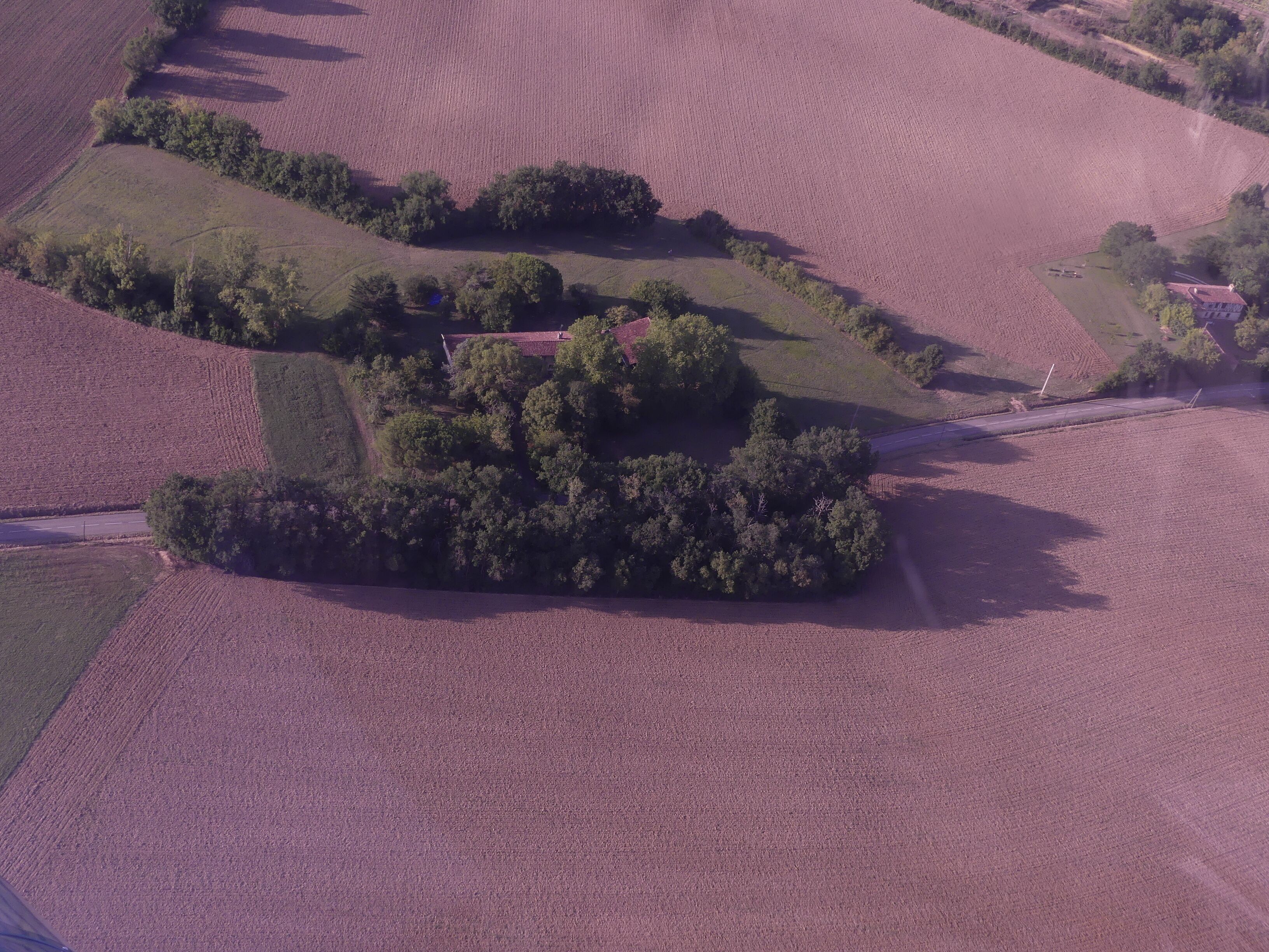 Luchtbeeld van een landelijk gebied met velden, bomen en een klein gebouw.