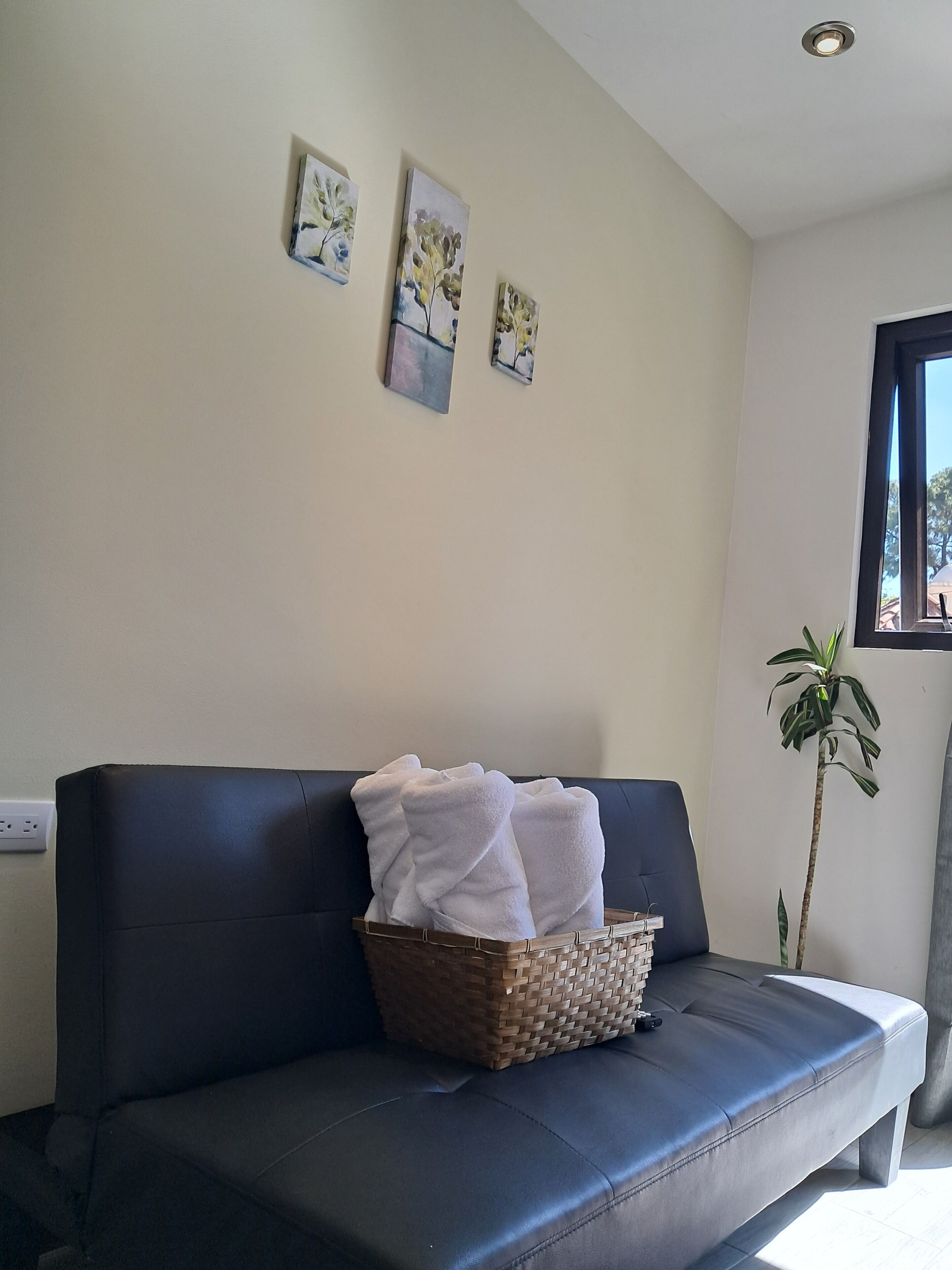 A dark-colored sofa with a woven basket containing folded white towels. There are three wall-mounted paintings above the sofa. A potted plant is visible to the right.