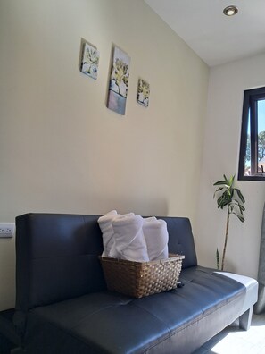 A dark-colored sofa with a woven basket containing folded white towels. There are three wall-mounted paintings above the sofa. A potted plant is visible to the right.