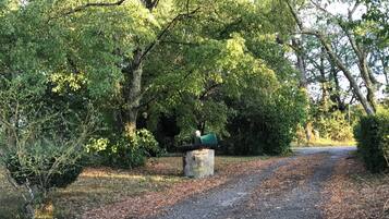 Een grindpad dat door een bebost gebied loopt, met bomen en een stenen gebouw.