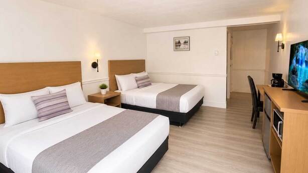 A hotel room with two beds, a desk, a television, and a small plant. - Tumbleweed Motel  (Cache Creek)