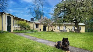 En hund ligger på en sti i en græsbevokset område med bygninger i baggrunden.