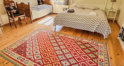 Idyllic location - vacation home for families with dogs 1 hour from Berlin on the lake.