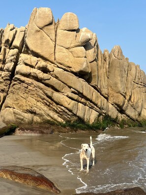 Na praia, barracas de praia de cortesia, espreguiçadeiras, guarda-sóis 