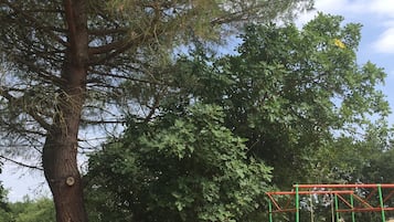 Campo sportivo