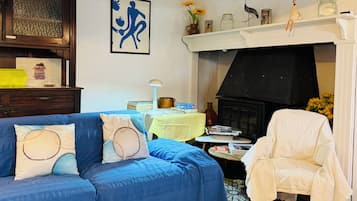Télévision, cheminée, livres