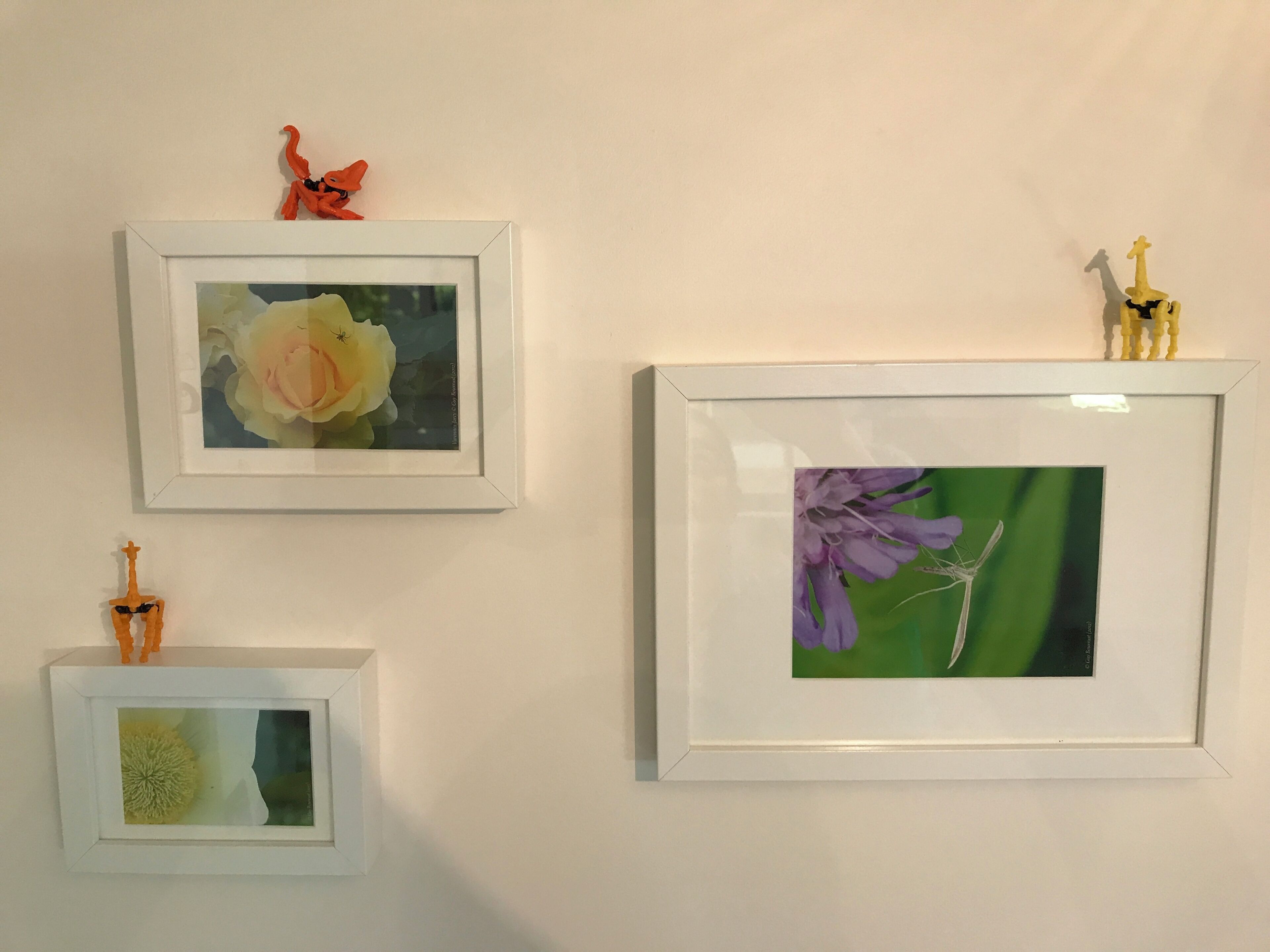 Three framed artworks on a wall.