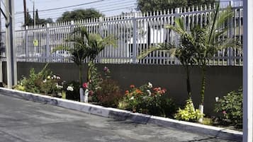 Área da propriedade