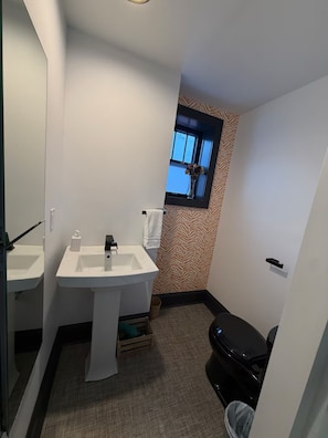 Hair dryer, towels, soap, toilet paper
