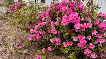 DĂ©tail de lâextĂ©rieur