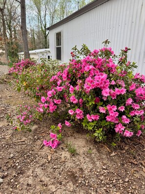 Exterior detail - Lake Hartwell 2 bedroom w/ deck & dock!  Plenty of parking for boats on trailers (Anderson)