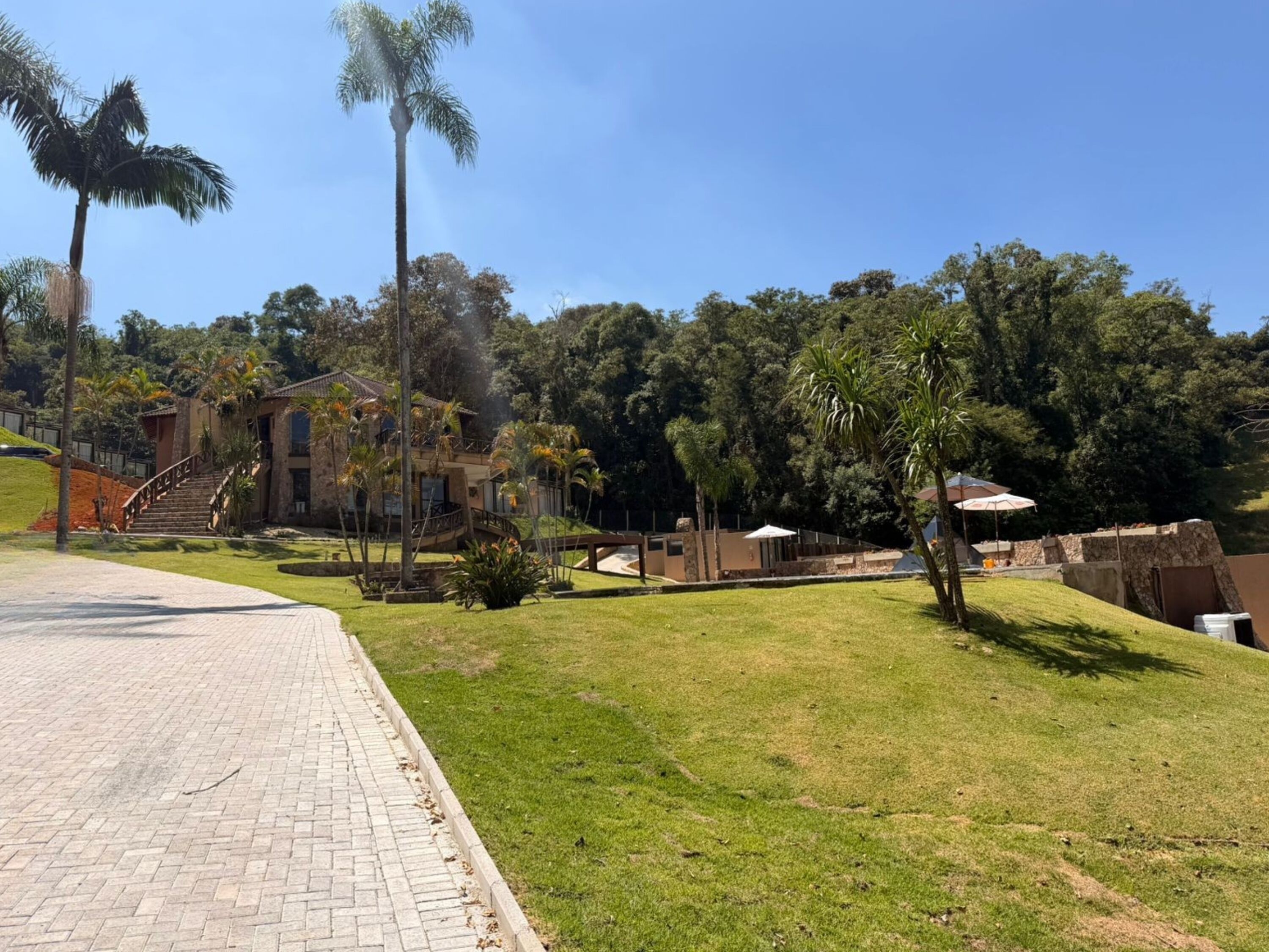 A paved pathway leading to a building with a staircase, surrounded by lush greenery and palm trees.