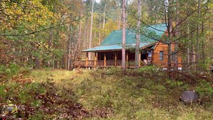 Eine rustikale Holzhütte, umgeben von hohen Bäumen und dichtem Unterholz.