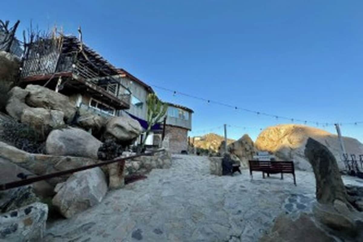 Imagen de perfil del propietario o de la propietaria