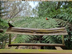 Miscellaneous - Cabin in the woods (Tanjil Bren)