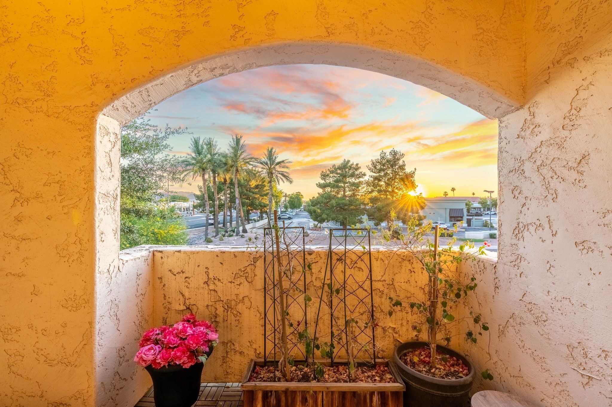 A balcony with a view of a sunset, a potted plant with pink flowers, and a trellis with climbing plants.
