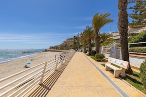 Un passeig marítim al costat de la platja, amb un camí empedrat, bancs, palmeres i una vista clara del mar.
