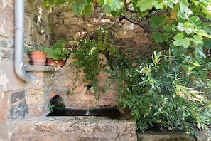 Un mur de pierre agrémenté d’une petite fontaine et de plantes en pot.