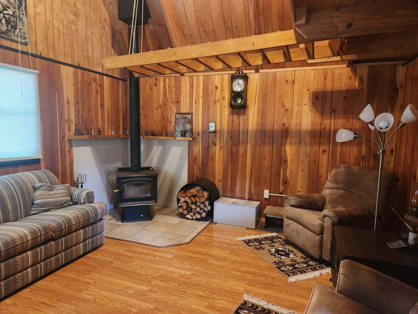 TV connectée, cheminée, livres