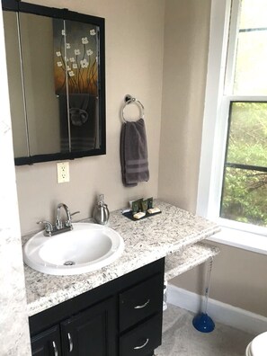 Bathroom - Iron Rider Studio - Couples Retreat in Charming Walkable Downtown Hot Springs (Hot Springs)
