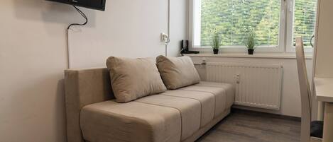 A beige sofa with two cushions, a mounted TV, a window with blinds, and a radiator.