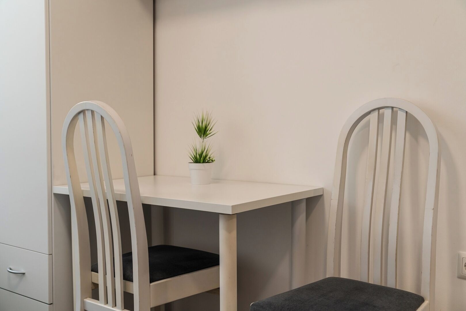 A small, white, rectangular table with a single potted plant in the center.