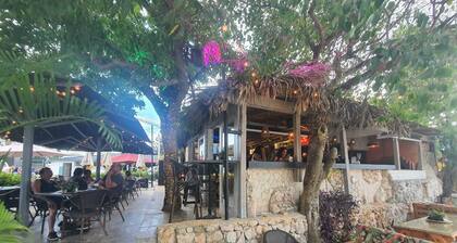 Cozy APAT.AL BAYAHIBE CENTER a few steps from the beach