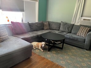 Living area - Pet Friendly Suburban Retreat (Stamford)