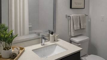 Hair dryer, towels, soap, toilet paper